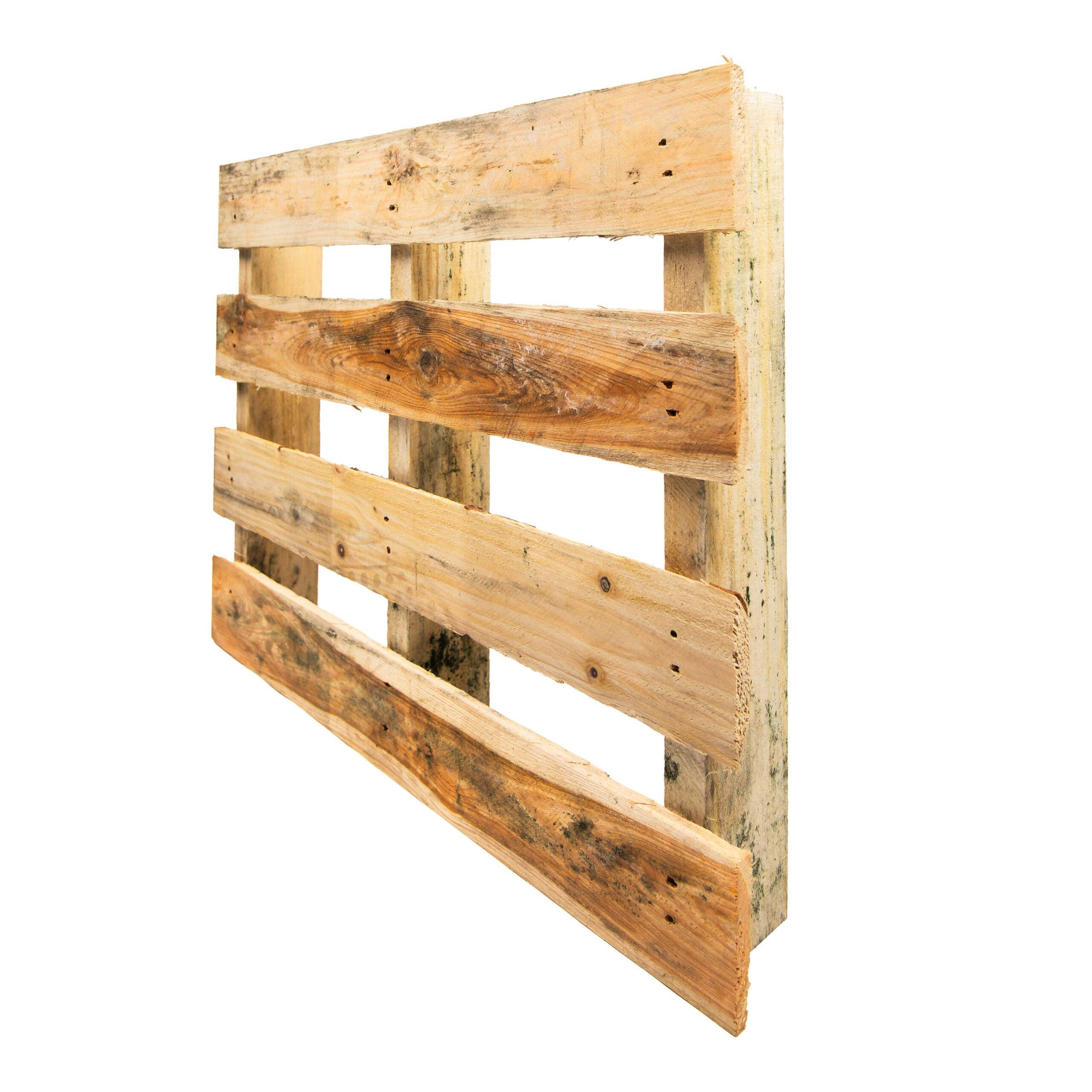 60 x 80 cm pallets wiebesietze 20251126 115552 20251126 rewood 234 bewerkt 2