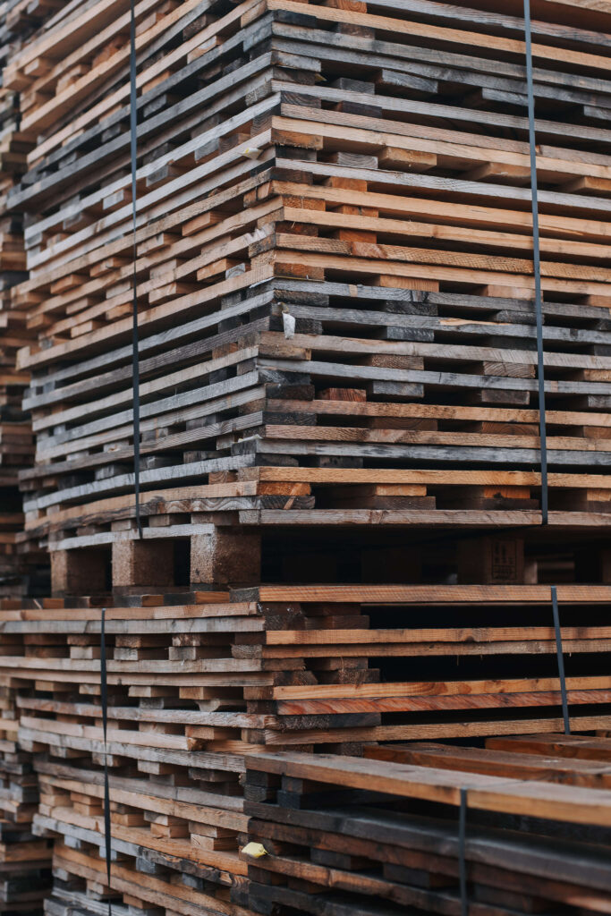 wiebesietze 20251126 132404 wsp 2785