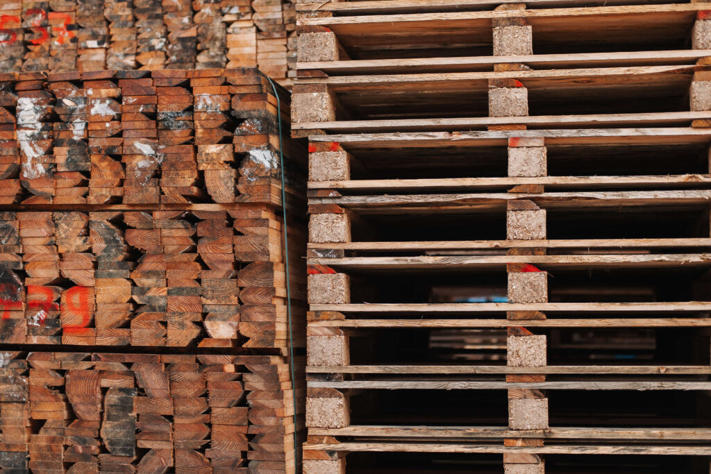 wiebesietze 20251126 132511 wsp 2816