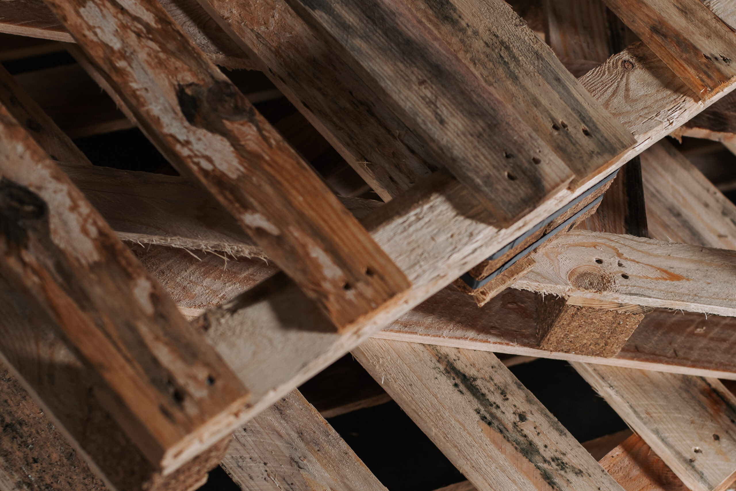 wiebesietze 20251126 131849 wsp 2753